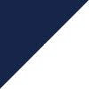 Navy/White