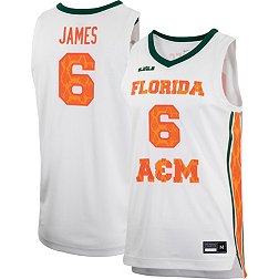 Nike x LeBron James Men's Florida A&M Rattlers #6 White Replica Basketball Jersey