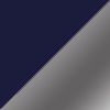 Collegiate Navy/Silver
