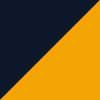 West Virginia Yellow/Blue