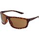 Tortoise Brown