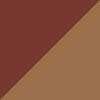 Tortoise Brown