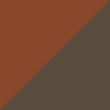 Tortoise Brown