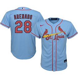 Men's Nike Yadier Molina Light Blue St. Louis Cardinals Name