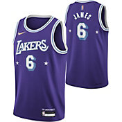 Nike Youth 2021-22 City Edition Los Angeles Lakers LeBron James #6 Purple Swingman Jersey
