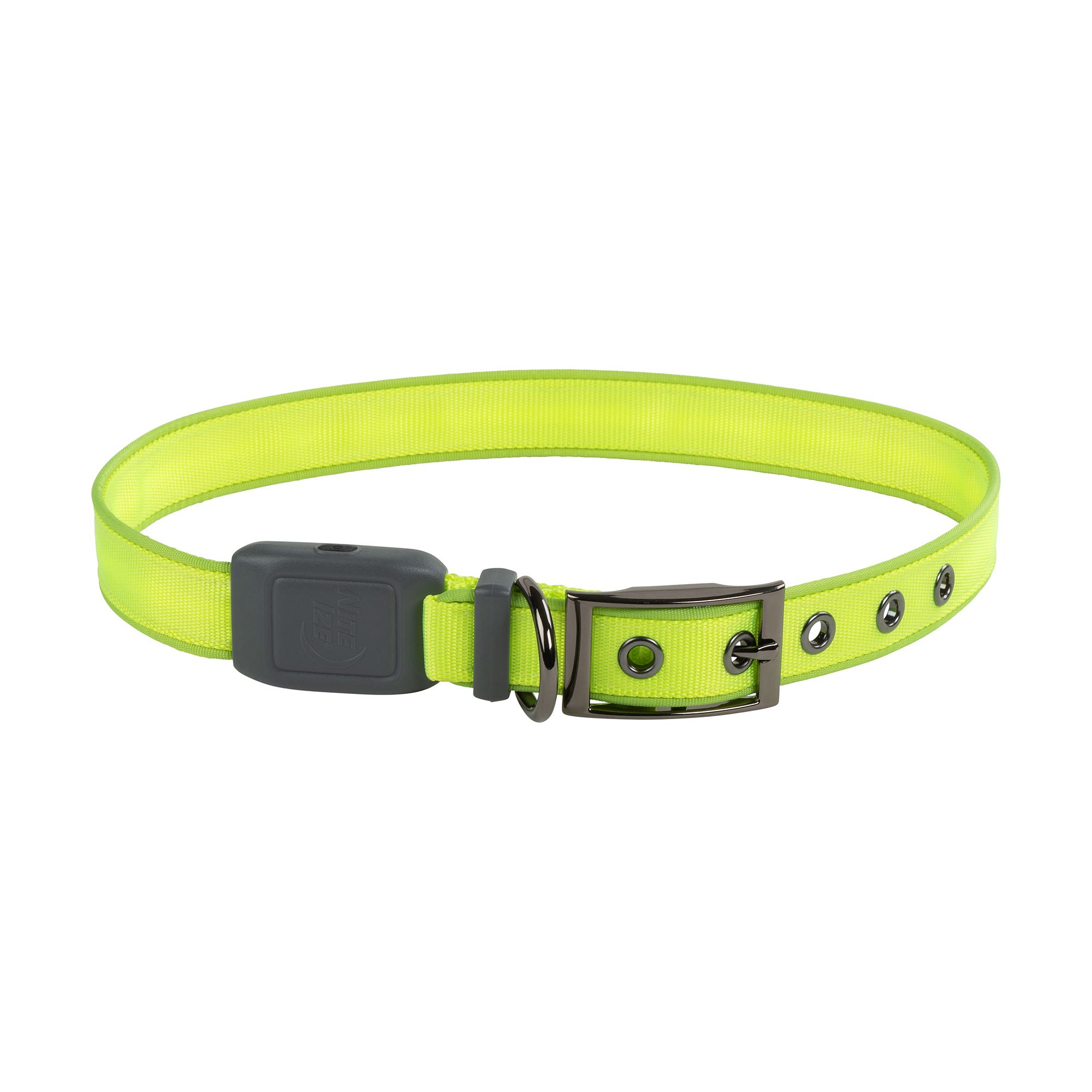 Photos - Other Nite Ize Nitedog Rechargeable LED Collar, Small, Lime 21NIZUNTDGLDCLLRLHUA 