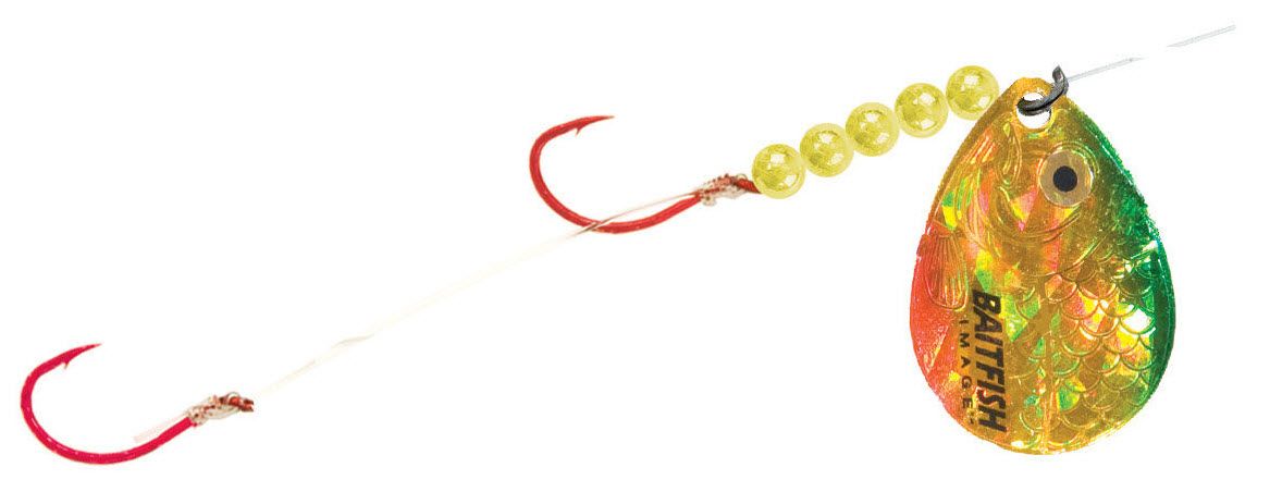 Gold Perch