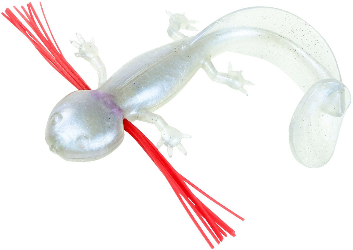 Albino