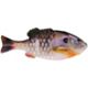 Bluegill