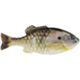 Sunfish