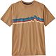 Dark Camel