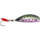 Rainbow Trout