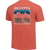 Image One Men's Grand Canyon State Arizona Graphic T-Shirt
