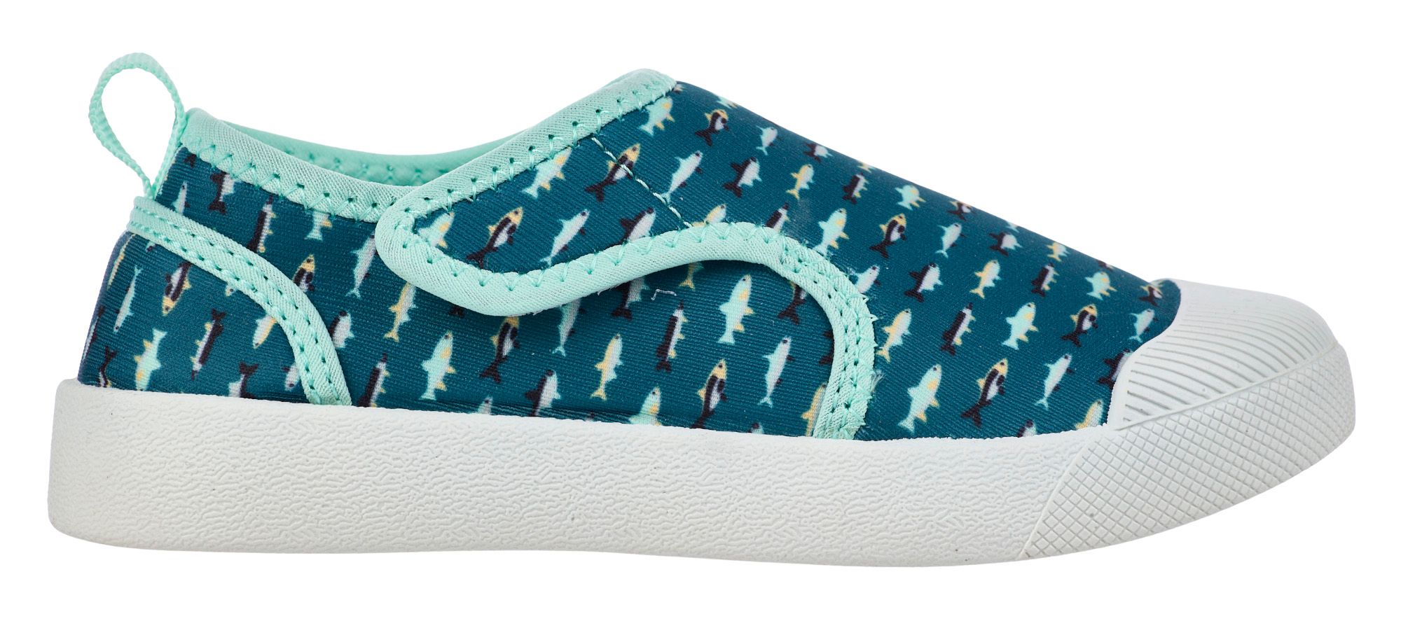 Teal Fish