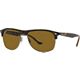 Havana Brown Polarized