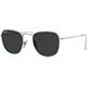 Silver/Polarized Black