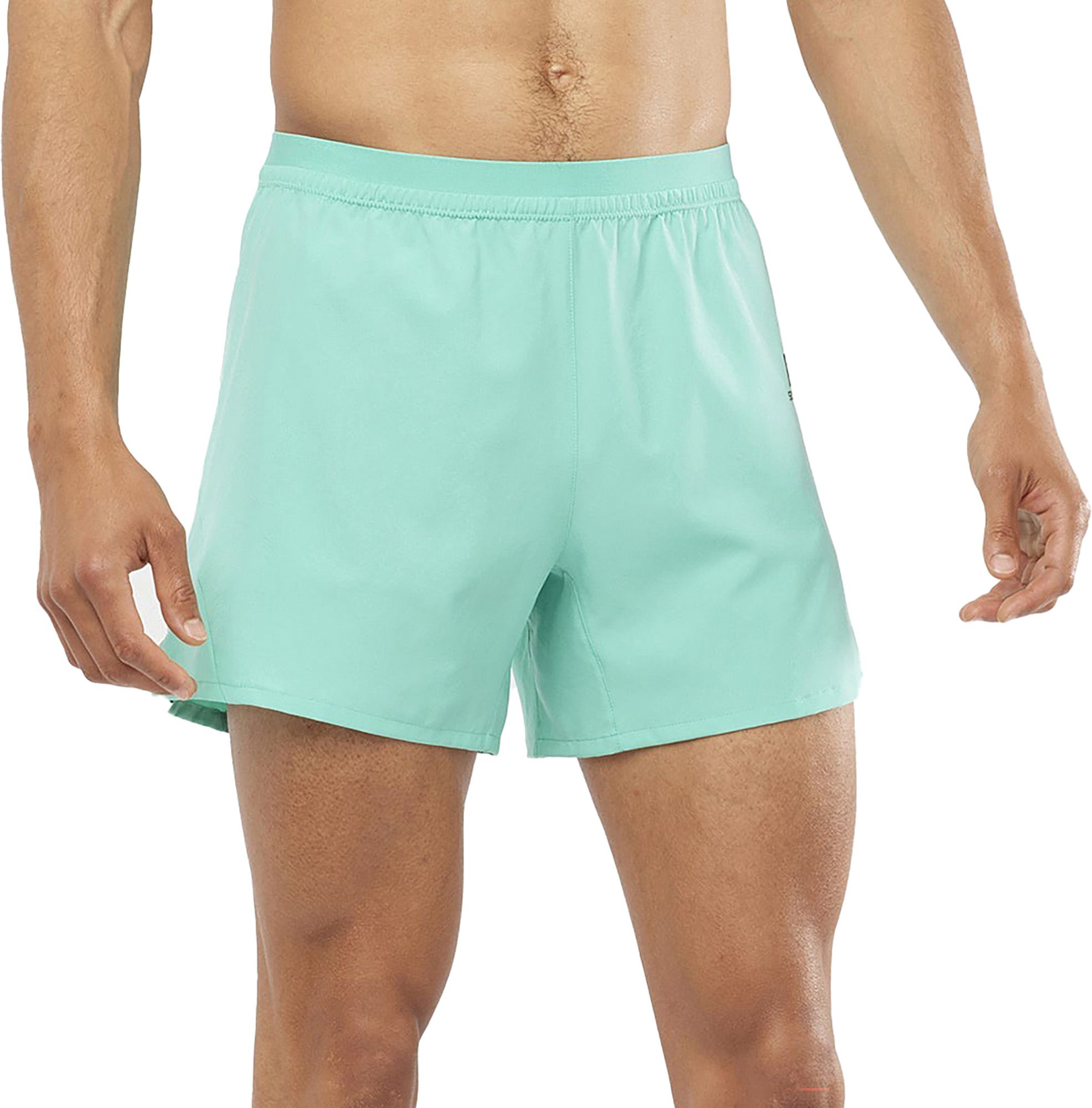 Salomon Men's Cross Shorts