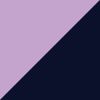 Fairy Wren