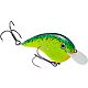 Chartreuse/Blue Back