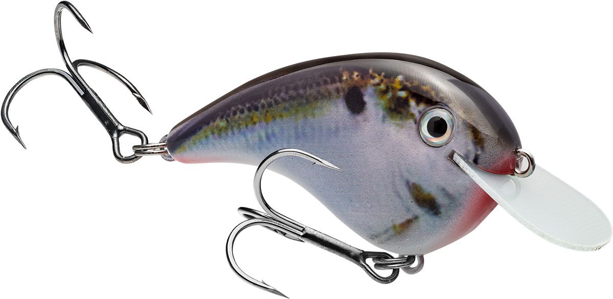 Natural Shad