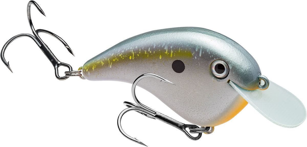 Sexy Shad