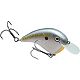Sexy Shad