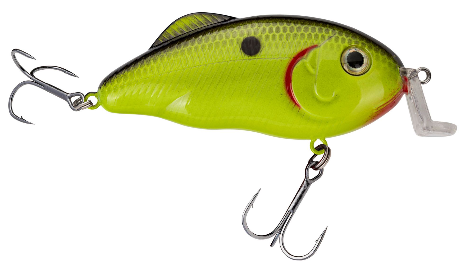 Chartreuse Black Back