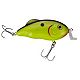 Chartreuse Black Back