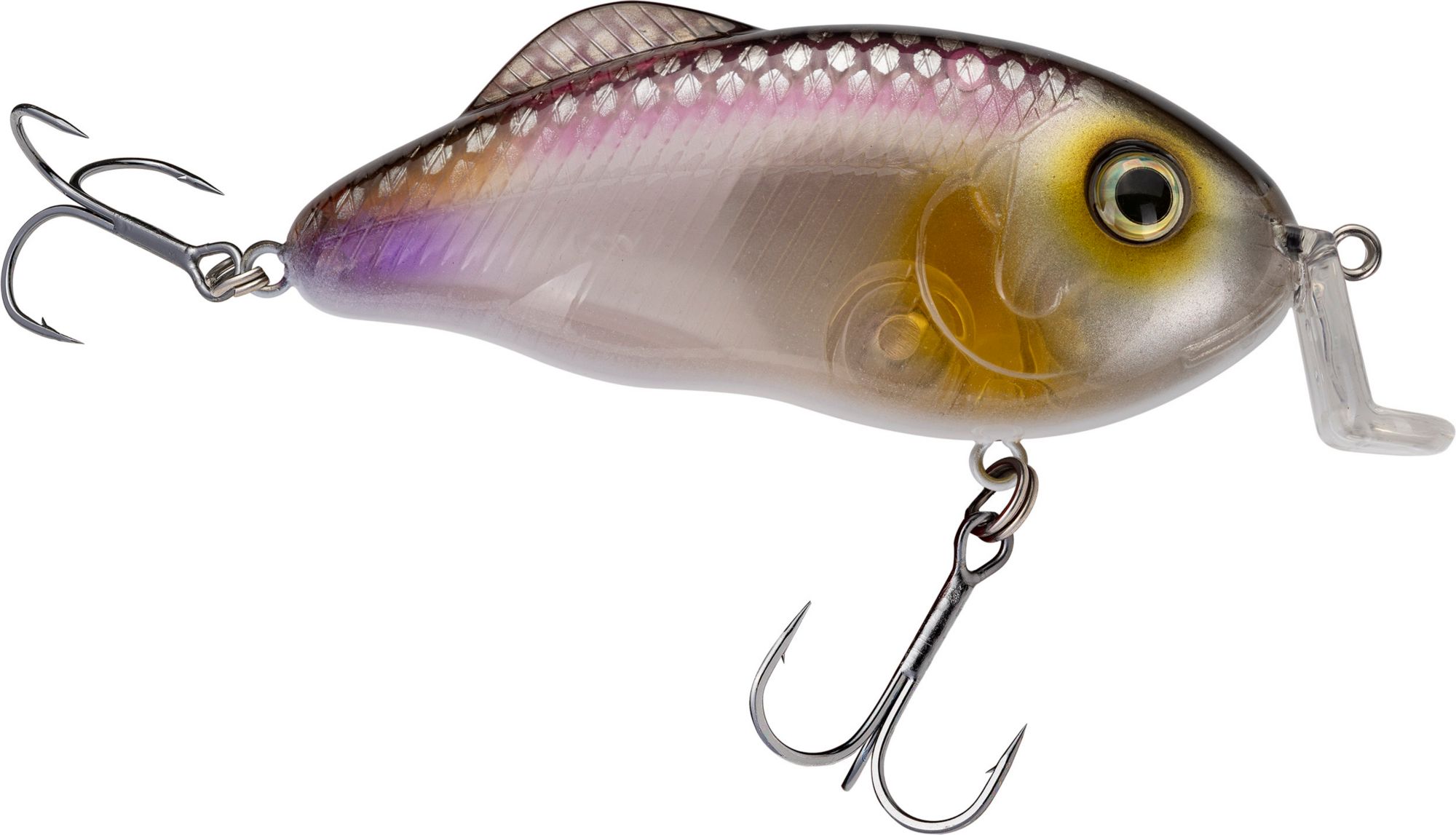 Clearwater Minnow