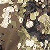 Riparian Camo