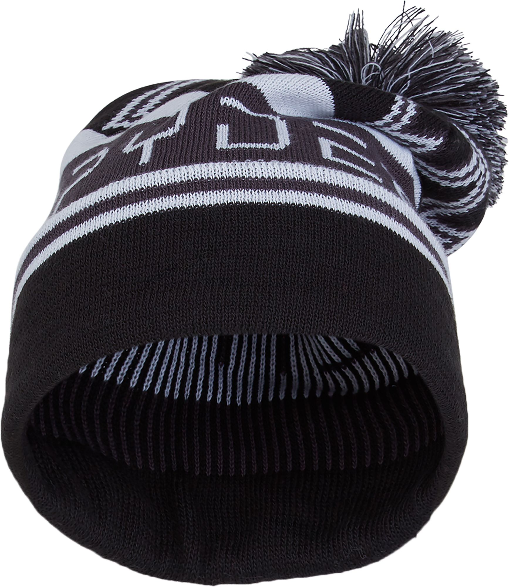 Spyder Men's Icebox Beanie