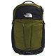 Forest Olive/Tnf Black