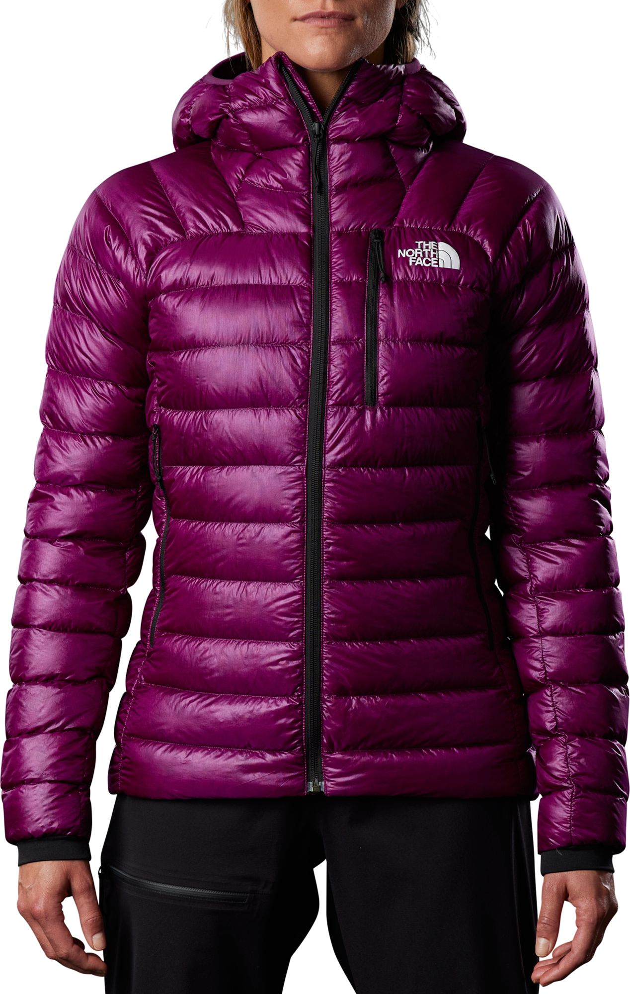 Pamplona Purple
