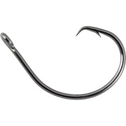 Gamakatsu Octopus Circle Hook, Size: (10 Pack) NS Black, 4 : :  Sports, Fitness & Outdoors