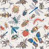 Bugs