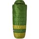 Green/Olive