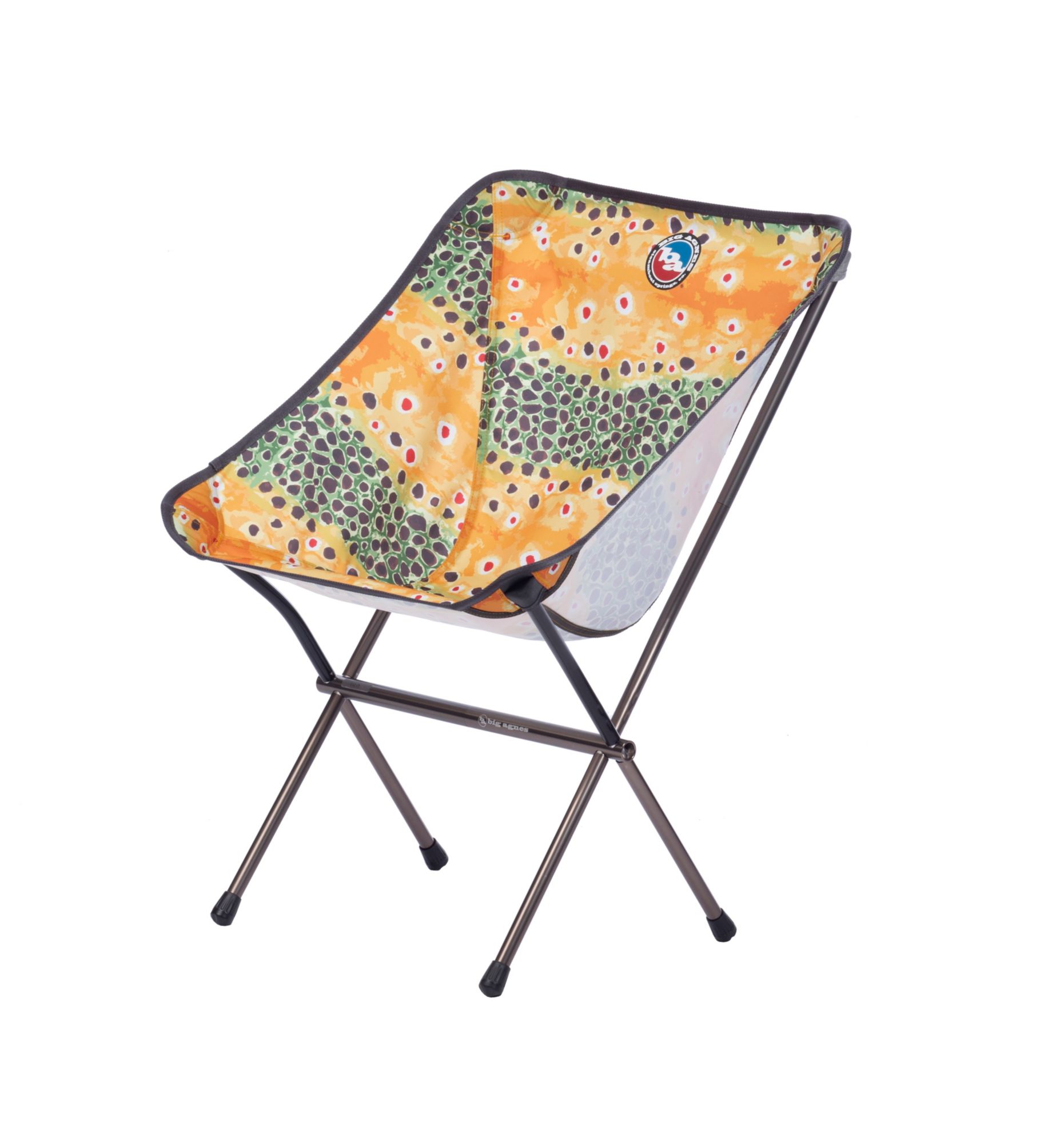 Photos - Outdoor Furniture Big Agnes Mica Basin Camp Chair, Trout 21TUMUMCBSNCMPCHRREC 