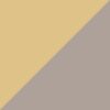 Gray/Yellow