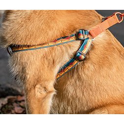 United by Blue Woven Dog Harness