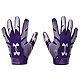 Purple/Silver