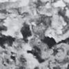 Pitch Gray