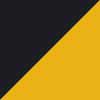 Black/Gold