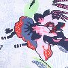 Lotus Flowers Multi