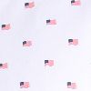 Mini Usa Flag White