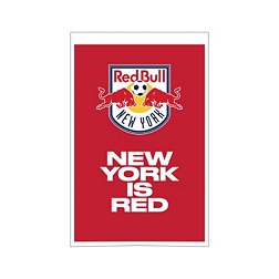 Winning Streak Sports New York Red Bulls Champs Banner