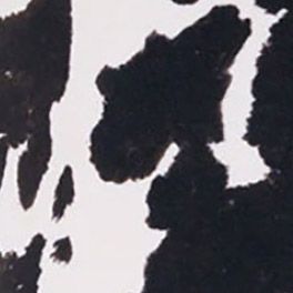 Black Cow