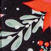 Poinsettia