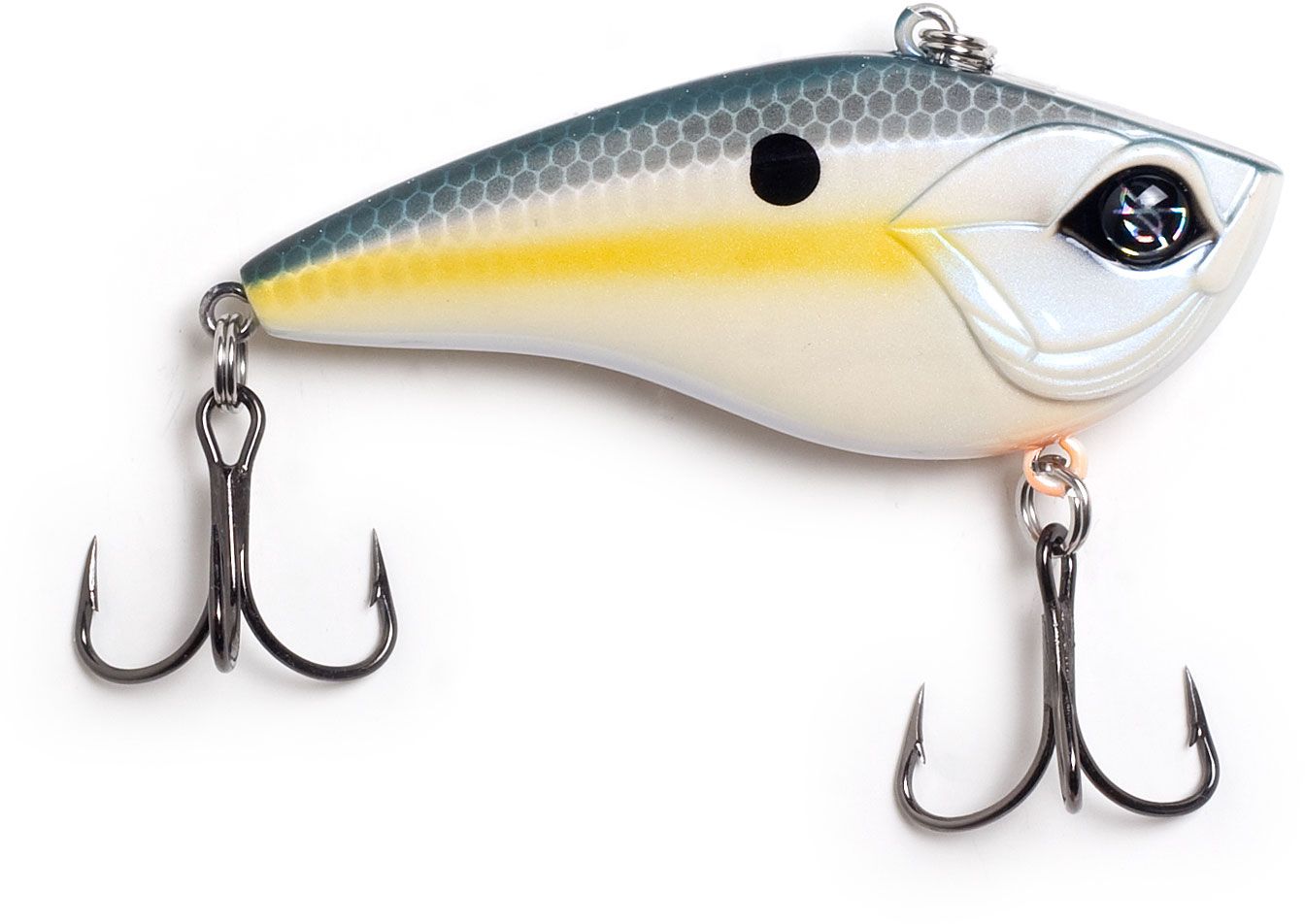 Sexy Shad