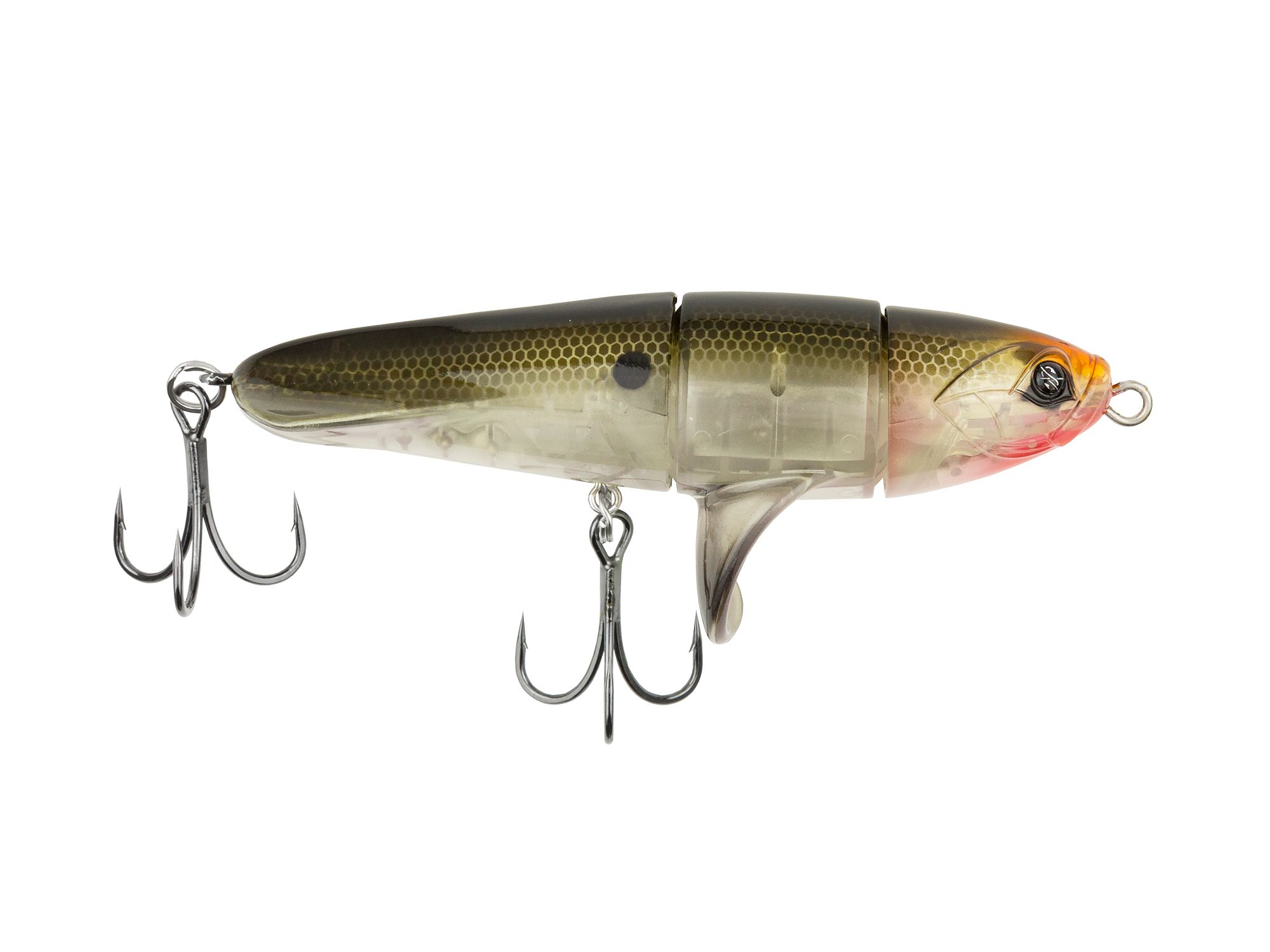 Native Shad