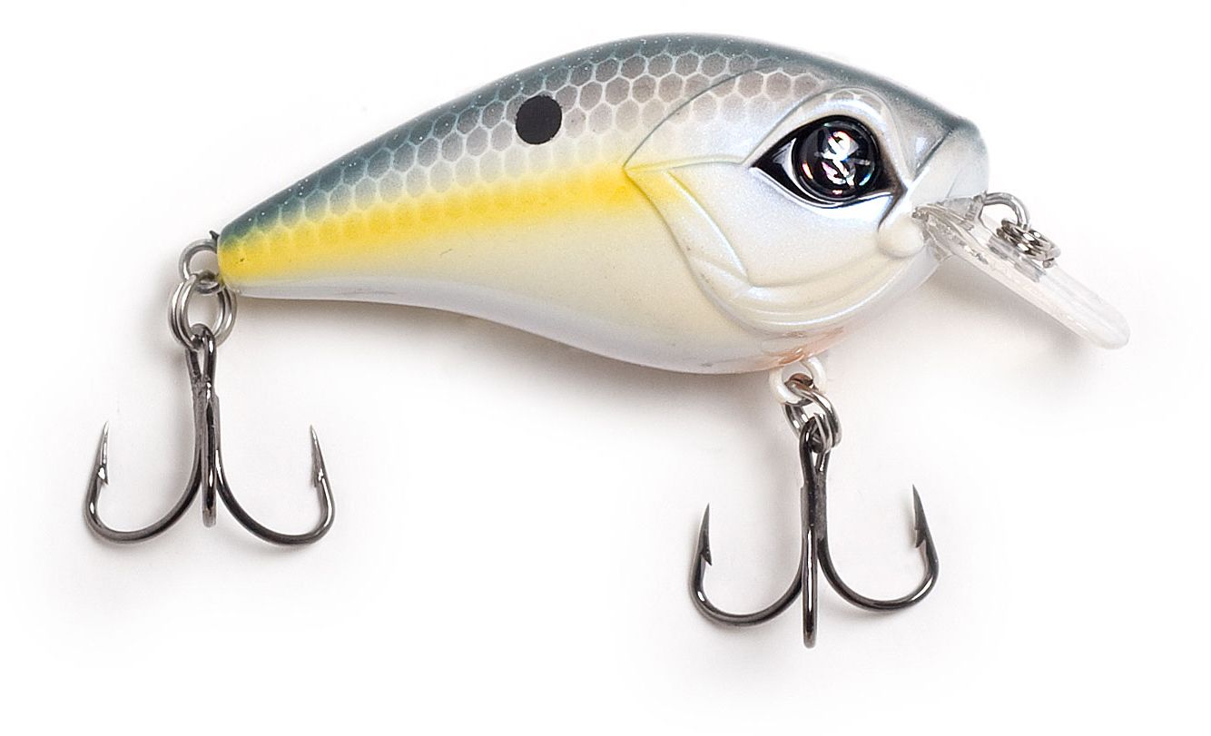 Sexy Shad